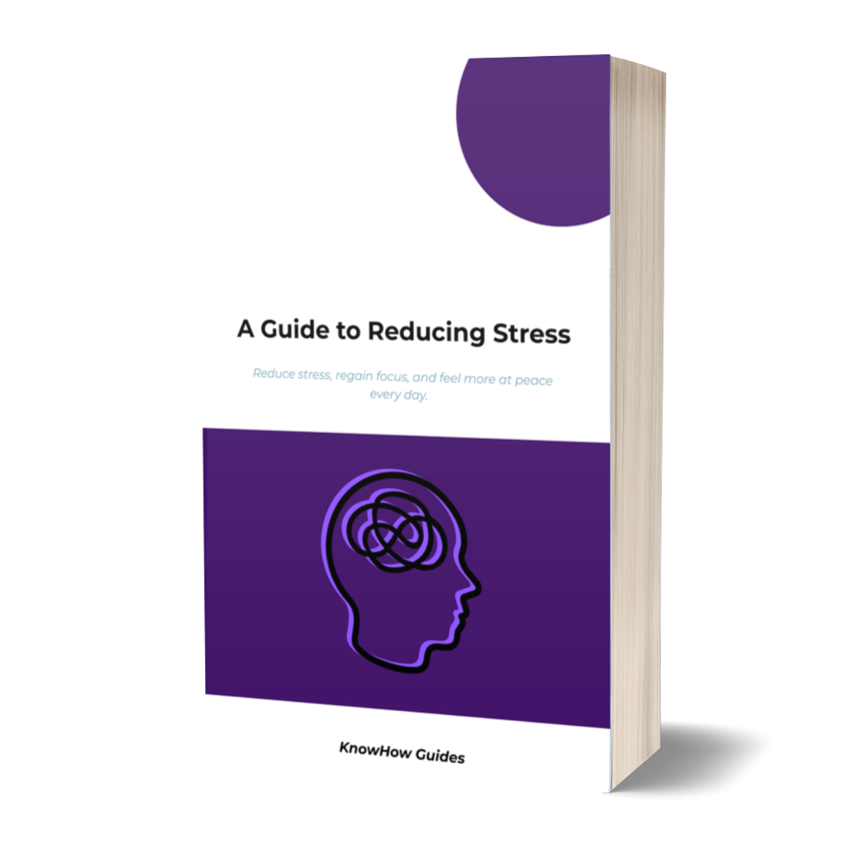 A Guide to Reducing Stress (E-Guide)